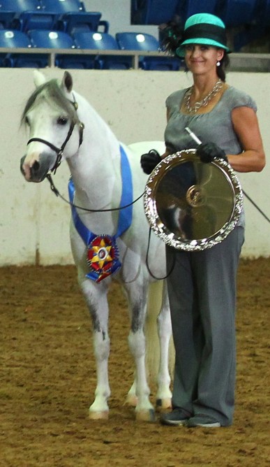 amnat2016-double-edited-tess-ch-colt