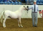 amnat2016-editeddouble-ch-colt