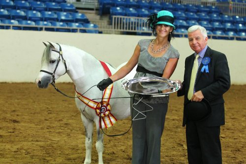 amnat-res-supreme-2016