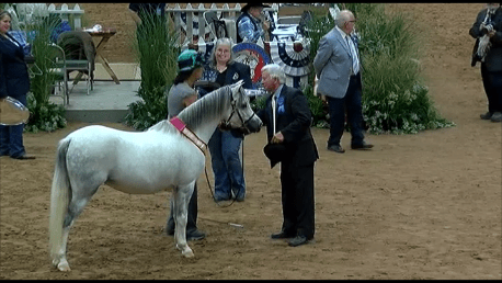 snapshot-1-10-12-2016-3-55-pm