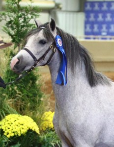 Gabby win 2015JW15-210-1369_edited-1