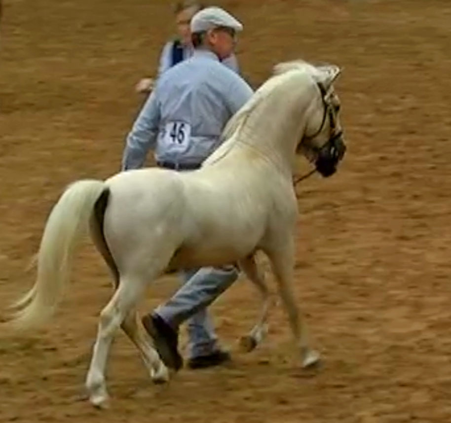 snapshot-2edited-10-12-2016-6-06-pm